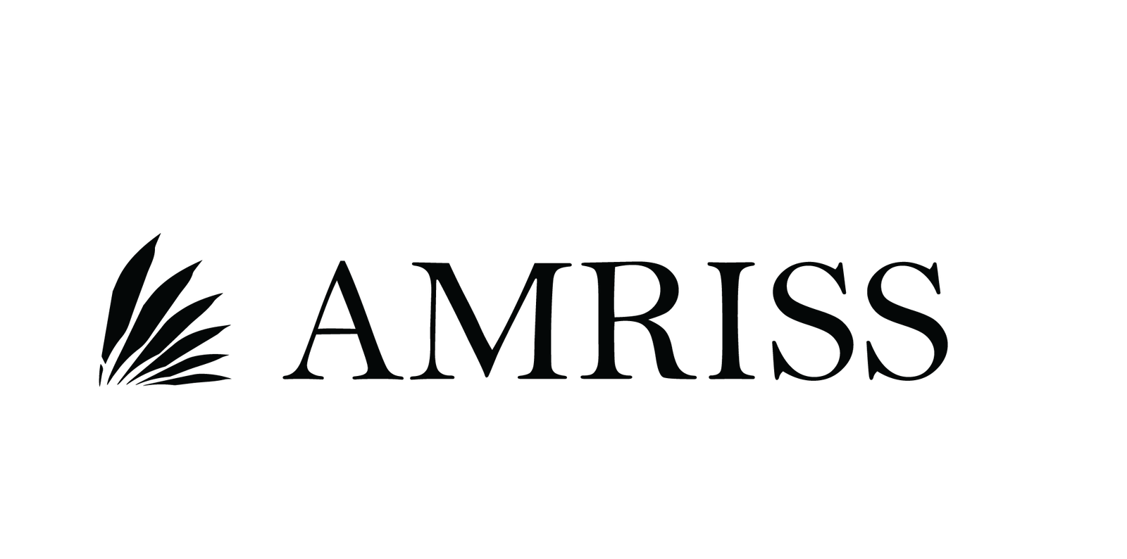 AMRISS